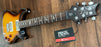 PRS SE DGT David Grissom Signature Electric Guitar Bird Inlays DGB22MT