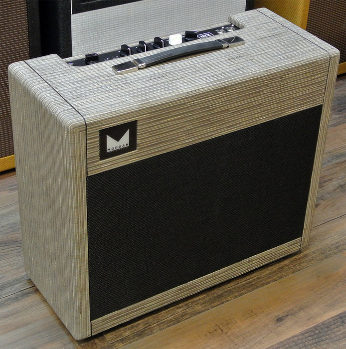 Morgan Amplification SW22R Reverb Combo Amp Driftwood