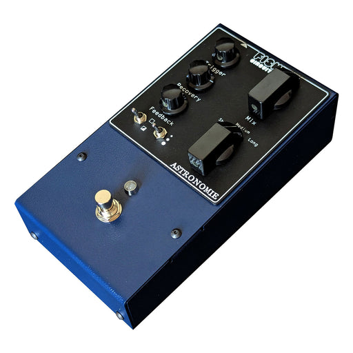 Fish Circuits Astronomie Digital Spring Reverb Pedal