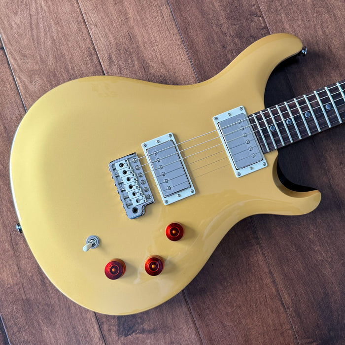 PRS SE DGT David Grissom Signature Electric Guitar Moon Inlays CTIF090214