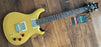 PRS SE DGT David Grissom Signature Electric Guitar Moon Inlays CTIF090214