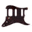 Fender Strat HSS (3-Screw Mount HB), 11-Hole Brown Shell 4-Ply Pickguard 0054022000