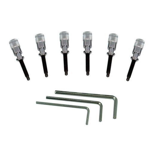 Floyd Rose FRHPCP Hollow Point Intonation System Chrome