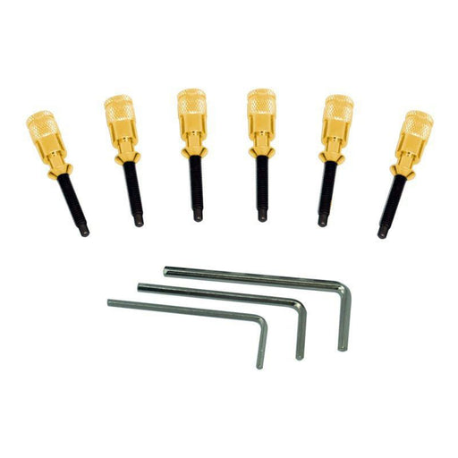 Black Cherry Floyd Rose FRHPGP Hollow Point Intonation System Gold