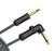 Planet Waves 10' Circuit Breaker Instrument Cable Straight and Angled Plug PW-AGRA-10