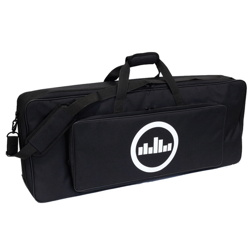 Temple Audio Duo 34 Soft Carrying Case