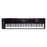 Roland Fantom 08 Workstation Synthesizer Keyboard 88-Keys
