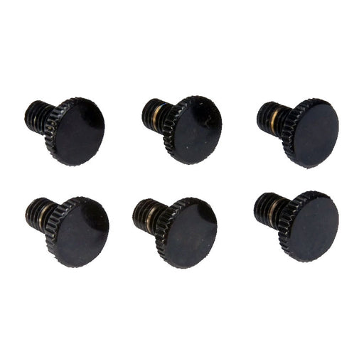 Floyd Rose Original Fine Tuning Screws FROFTSBP