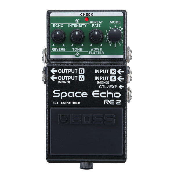 Roland RE-2 Space Echo Pedal